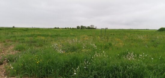 Terrain à bâtir à Surgères, Nouvelle-Aquitaine